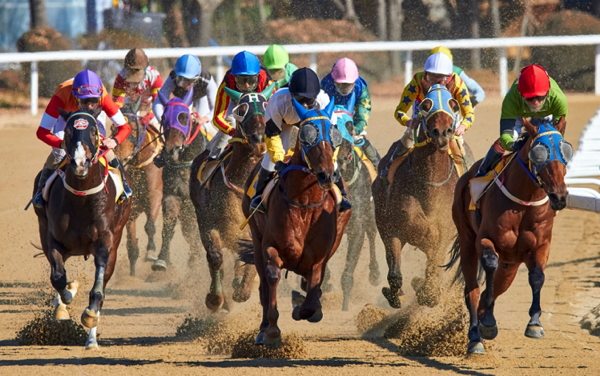 horse racing