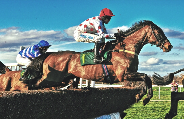 horse jumping a fence