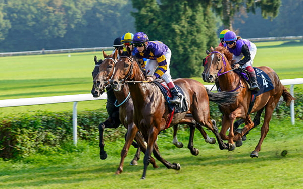 Horse Racing