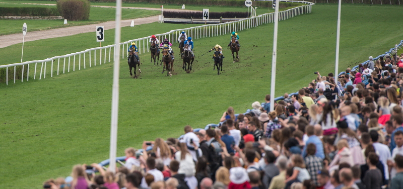 Horses racing