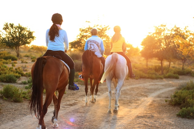 Horse riders