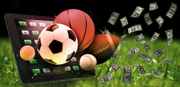 Football Betting and Pay Per Head Services