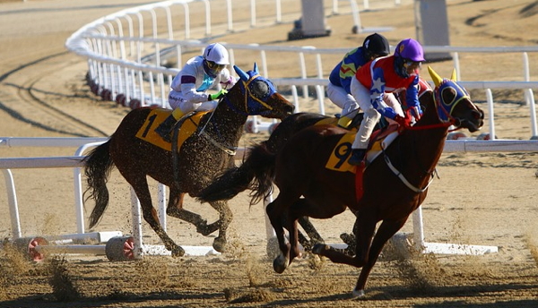 horse racing