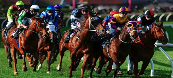 horse racing