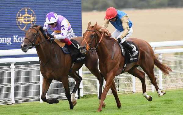 horse race