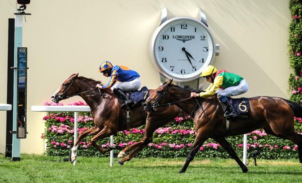 English Horse Racing