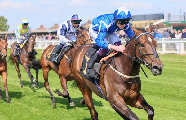 VENETIAN SUN and ARGENTINE TANGO