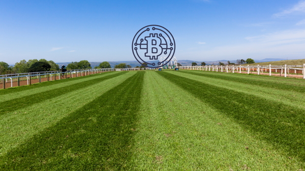 Setting Up Crypto Payments for Race Day Ticket Sales: A Practical Guide for Course Operators