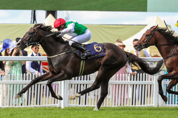 Racing Fans Enjoy Strategic Gaming