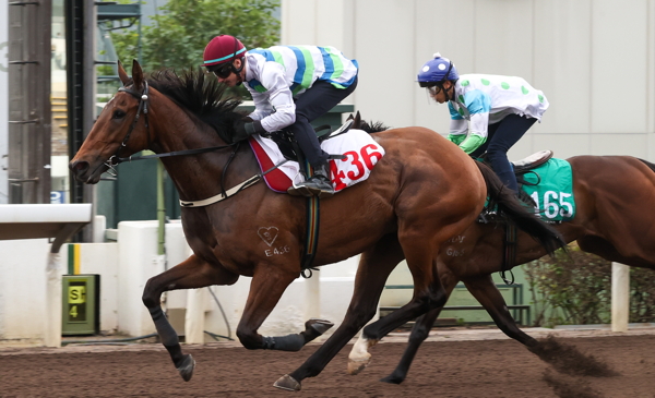 Horse Racing Became Part Of The Modern Leisure And Online Entertainment Industry