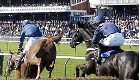 ayr races