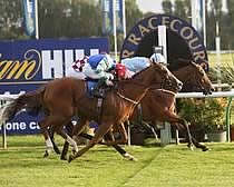 Ayr finishing post