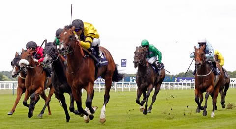 Shergar Cup Dash