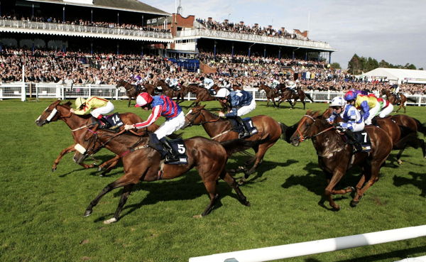 Ayr Gold Cup Meeting