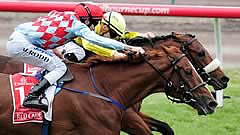 Dunaden wins by a nose over Red Cadeaux