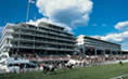 epsom