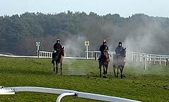 exeter racecourse