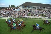 lingfield park