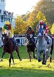 SALISBURY RACECOURSE