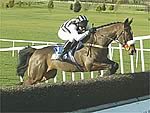 Moscow Flyer