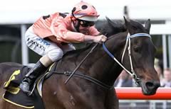 Black Caviar