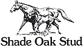 Shade oak Stud