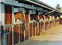 stables